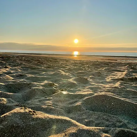 T2 Cosy Hypercentre 3mn De La *